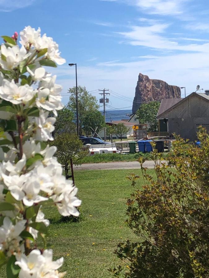 Motel Le Repos Perce Exterior photo